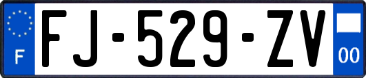 FJ-529-ZV