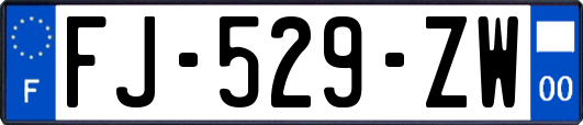 FJ-529-ZW