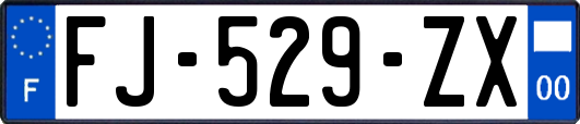 FJ-529-ZX