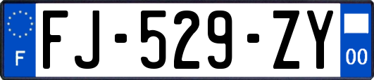 FJ-529-ZY