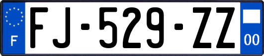 FJ-529-ZZ