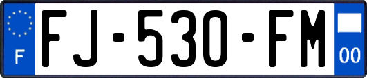 FJ-530-FM