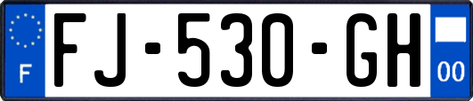 FJ-530-GH