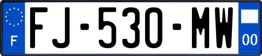 FJ-530-MW