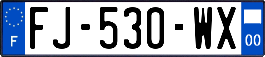 FJ-530-WX