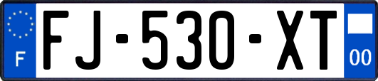 FJ-530-XT