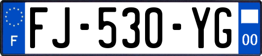 FJ-530-YG