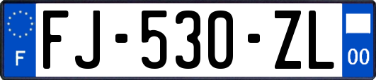 FJ-530-ZL