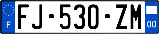 FJ-530-ZM