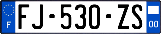 FJ-530-ZS