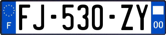 FJ-530-ZY