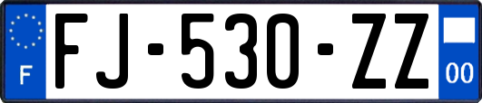 FJ-530-ZZ