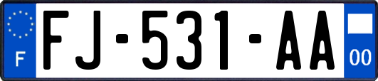 FJ-531-AA