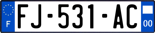 FJ-531-AC