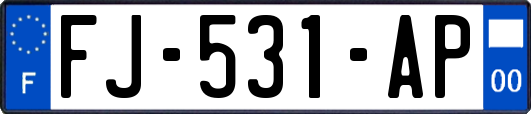 FJ-531-AP