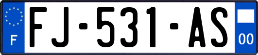 FJ-531-AS