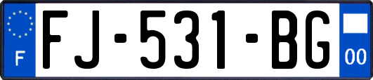 FJ-531-BG
