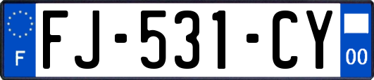 FJ-531-CY