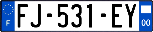 FJ-531-EY