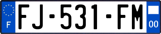 FJ-531-FM