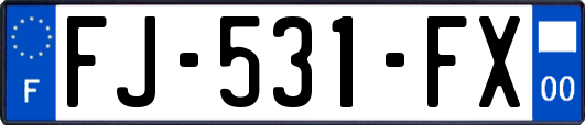 FJ-531-FX
