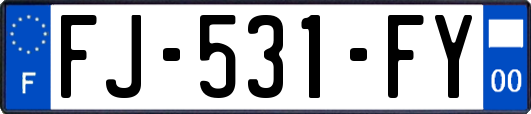 FJ-531-FY
