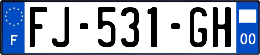 FJ-531-GH