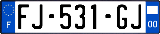FJ-531-GJ