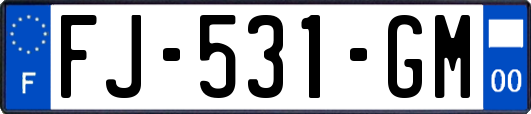 FJ-531-GM