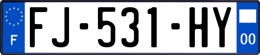FJ-531-HY
