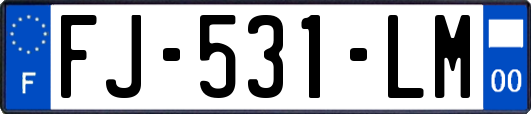 FJ-531-LM
