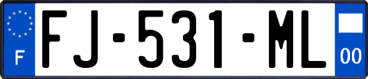 FJ-531-ML