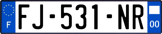 FJ-531-NR