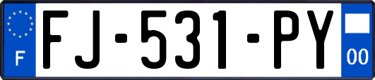 FJ-531-PY