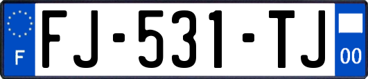 FJ-531-TJ