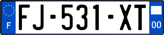 FJ-531-XT
