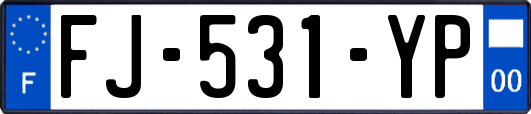 FJ-531-YP