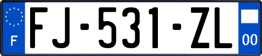 FJ-531-ZL