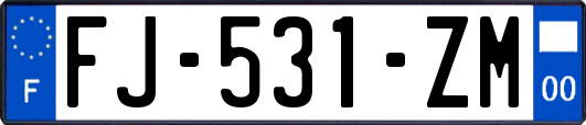 FJ-531-ZM