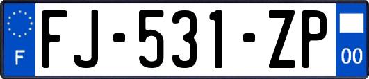 FJ-531-ZP