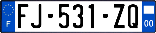 FJ-531-ZQ