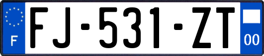 FJ-531-ZT