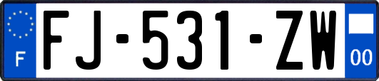 FJ-531-ZW