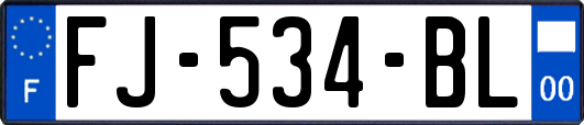 FJ-534-BL