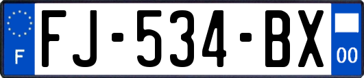 FJ-534-BX