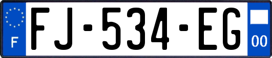 FJ-534-EG