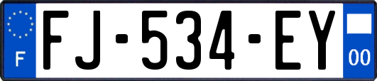 FJ-534-EY