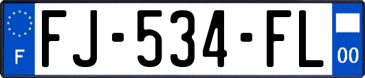 FJ-534-FL