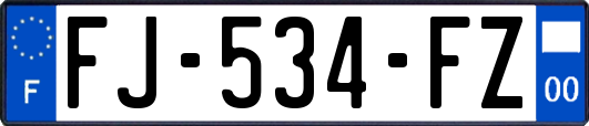 FJ-534-FZ