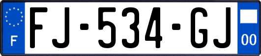 FJ-534-GJ